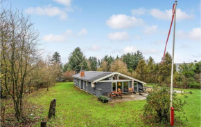 Pet Friendly Home In Spøttrup With House A Panoramic View